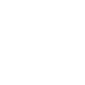 Brain Icon